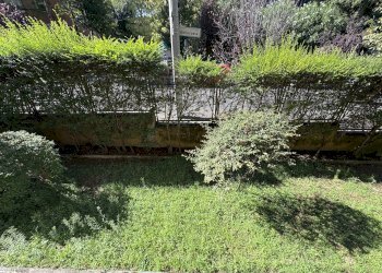 Appartamento Bologna (zona Murri) - foto 3