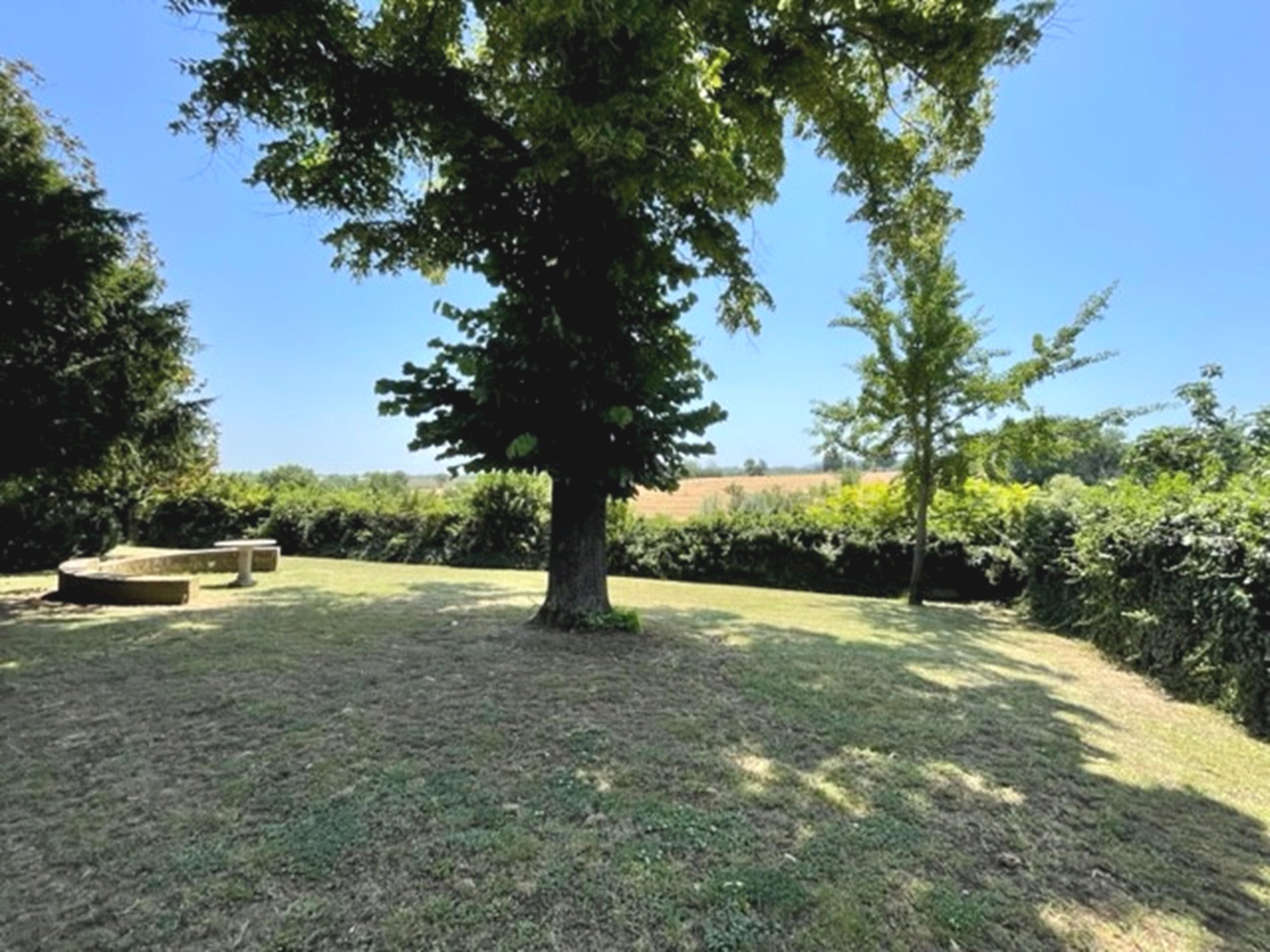 Porzione di casa Ozzano dell'Emilia - foto 2