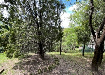 Villa Pianoro - foto 7