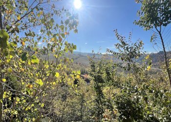 Villa Pianoro - foto 30