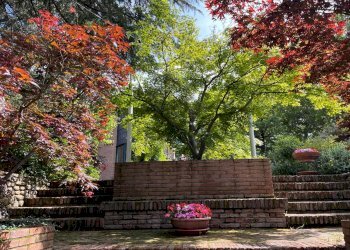 Casale Castel San Pietro Terme - foto 3