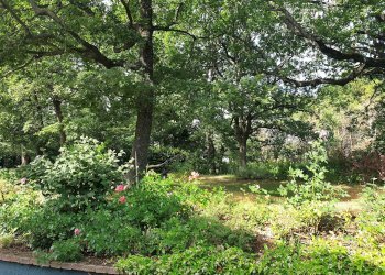 Casale Castel San Pietro Terme - foto 28