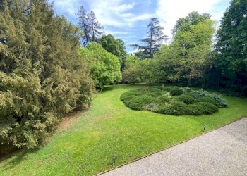 Villa Bologna (zona San Donato) - foto 13