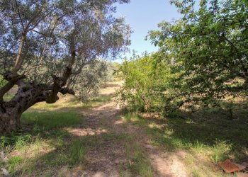 Foto 16 - Casa indipendente Mulano Alto, Castellalto - foto 16