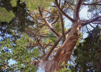 Foto 16 - Villa VIA GRAMSCI
 
57, Giulianova - foto 16