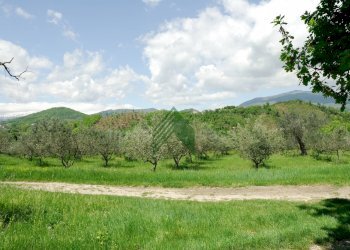 Foto 57 - Villa Teramo - foto 57