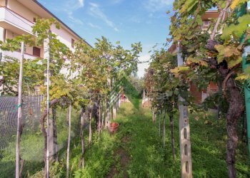 Foto 28 - Casa indipendente via Abruzzo
 
90, Alba Adriatica - foto 28