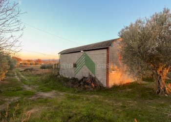 Foto 1 - Laboratorio Via Nazionalw, Bellante - foto 1