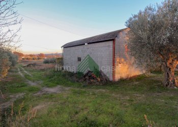 Foto 2 - Laboratorio Via Nazionalw, Bellante - foto 2