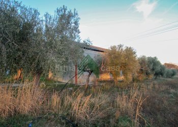 Foto 6 - Laboratorio Via Nazionalw, Bellante - foto 6