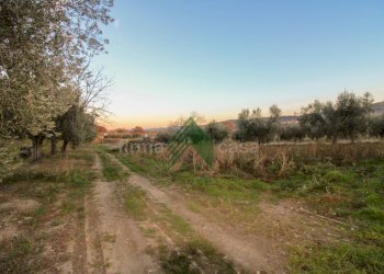 Foto 9 - Laboratorio Via Nazionalw, Bellante - foto 9