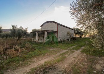 Foto 10 - Laboratorio Via Nazionalw, Bellante - foto 10