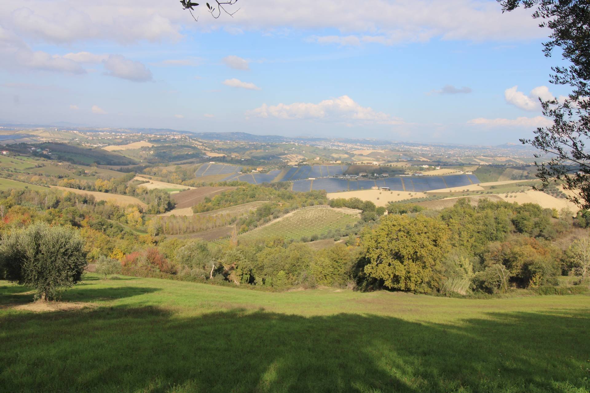 Foto 2 - Terreno agricolo Bellante - foto 2