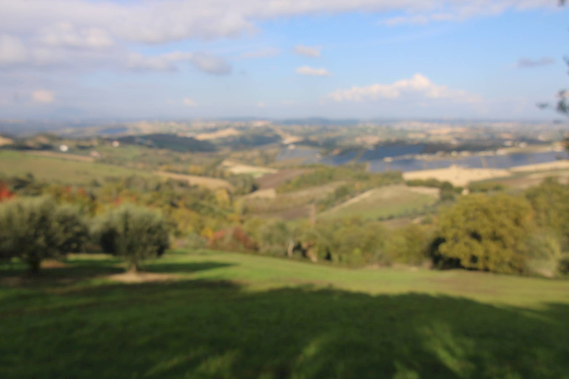 Foto 3 - Terreno agricolo Bellante - foto 3