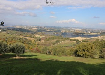 Foto 1 - Terreno agricolo Bellante - foto 1