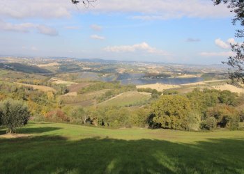 Foto 2 - Terreno agricolo Bellante - foto 2