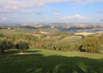 Foto 3 - Terreno agricolo Bellante - foto 3