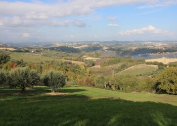 Foto 4 - Terreno agricolo Bellante - foto 4