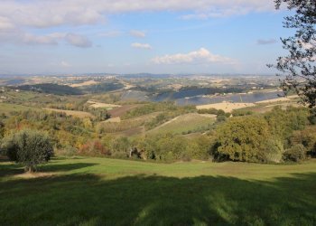 Foto 5 - Terreno agricolo Bellante - foto 5