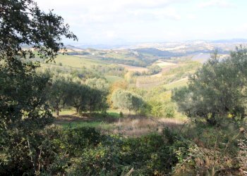 Foto 8 - Terreno agricolo Bellante - foto 8