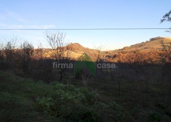 Foto 2 - Terreno agricolo Bellante - foto 2