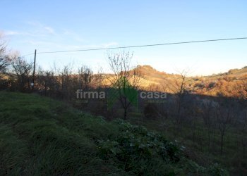 Foto 3 - Terreno agricolo Bellante - foto 3