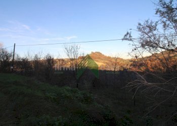 Foto 4 - Terreno agricolo Bellante - foto 4