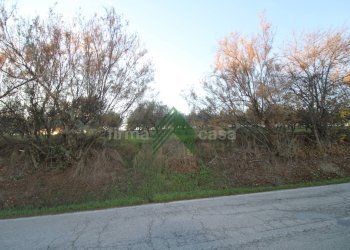 Foto 6 - Terreno agricolo Bellante - foto 6