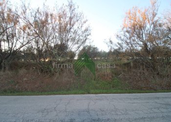 Foto 7 - Terreno agricolo Bellante - foto 7