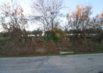 Foto 8 - Terreno agricolo Bellante - foto 8