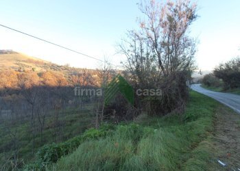 Foto 18 - Terreno agricolo Bellante - foto 18