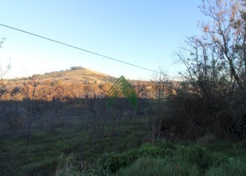 Foto 19 - Terreno agricolo Bellante - foto 19