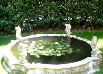 giardino - Villa Treviso - foto 5