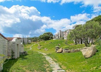 giardini comuni - Villa Castiadas - photo 4