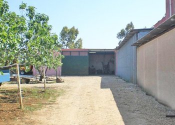 tenuta vitivinicola - Azienda agricola Latiano - foto 6