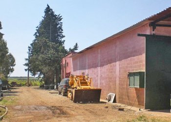 tenuta vitivinicola - Azienda agricola Latiano - foto 7