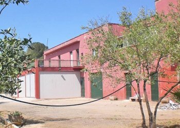 tenuta vitivinicola - Azienda agricola Latiano - foto 8