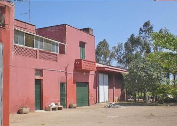 tenuta vitivinicola - Azienda agricola Latiano - foto 9