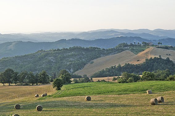 vista panoramica - Hotel Città di Castello - foto 3