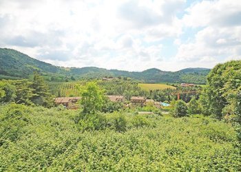 Terreno edificabile - Terreno edificabile Scanzorosciate - foto 2