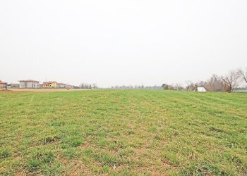 terreno agricolo - Agricultural land Brembate - photo 1