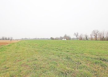 terreno agricolo - Agricultural land Brembate - photo 2