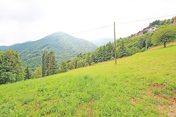 Terreno edificabile - Terreno edificabile Gazzaniga - foto 2