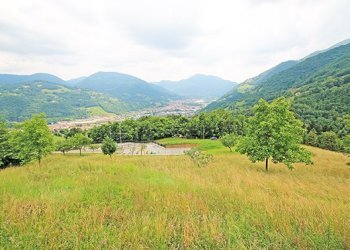 Terreno edificabile - Terreno edificabile Gazzaniga - foto 1