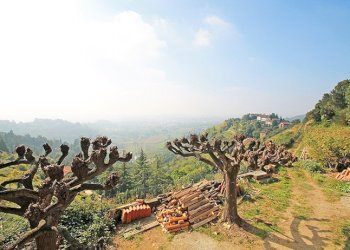 vista panoramica - Villa via San Sebastiano, Bergamo - foto 7