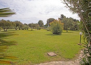 parco - Terraced Villa Pula - photo 4