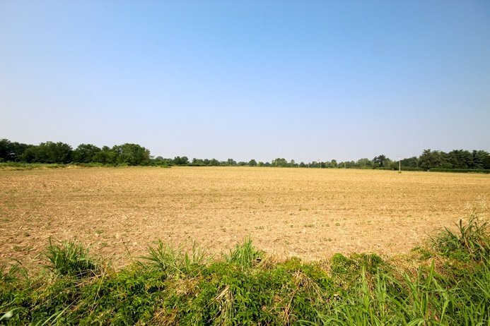 terreno industriale - Building land Ciserano - photo 2