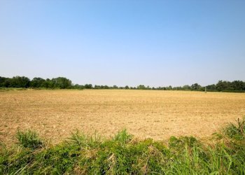 terreno industriale - Terreno edificabile Ciserano - foto 2