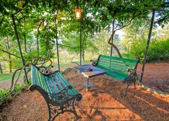 giardino - Villa località Gallareto, Piana Crixia - foto 11