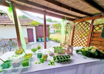 parco - Villa località Gallareto, Piana Crixia - foto 26